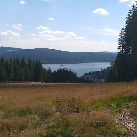 Chata Dvorečná Villa Loučovice Esterno foto