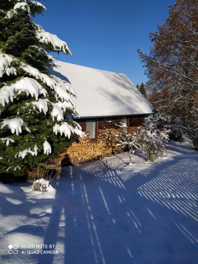 Chata Dvorečná Villa Loučovice Esterno foto