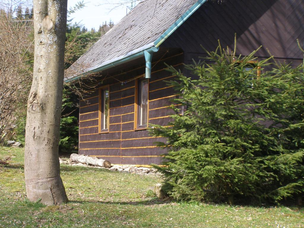 Chata Dvorečná Villa Loučovice Esterno foto