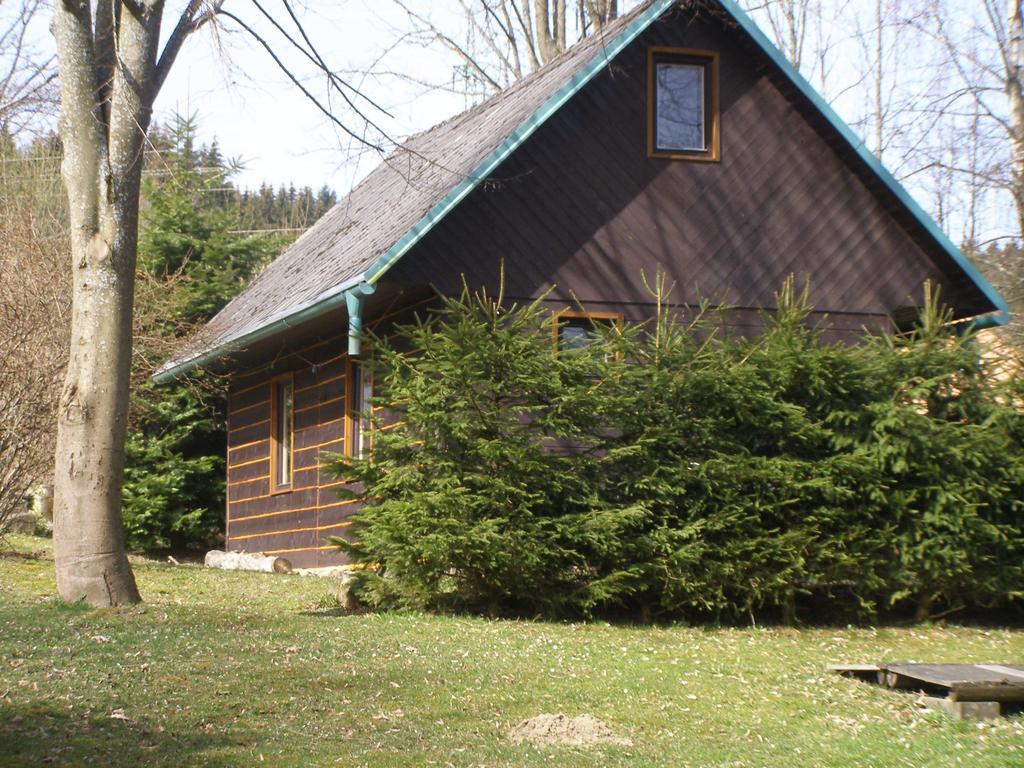 Chata Dvorečná Villa Loučovice Esterno foto