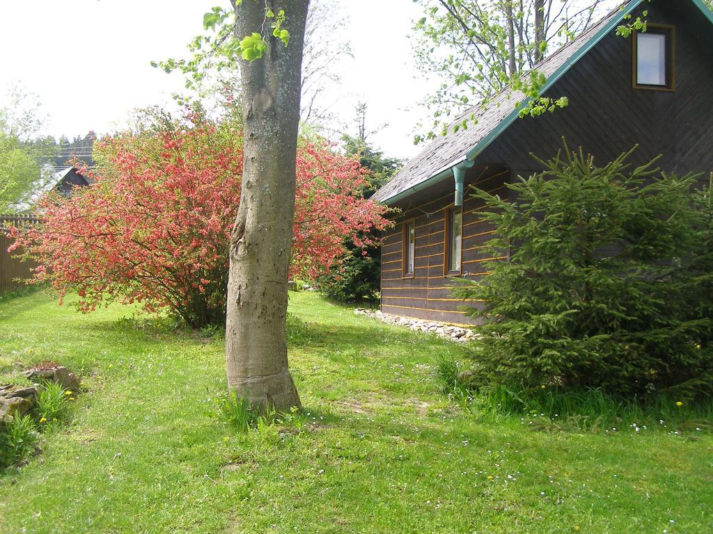 Chata Dvorečná Villa Loučovice Esterno foto