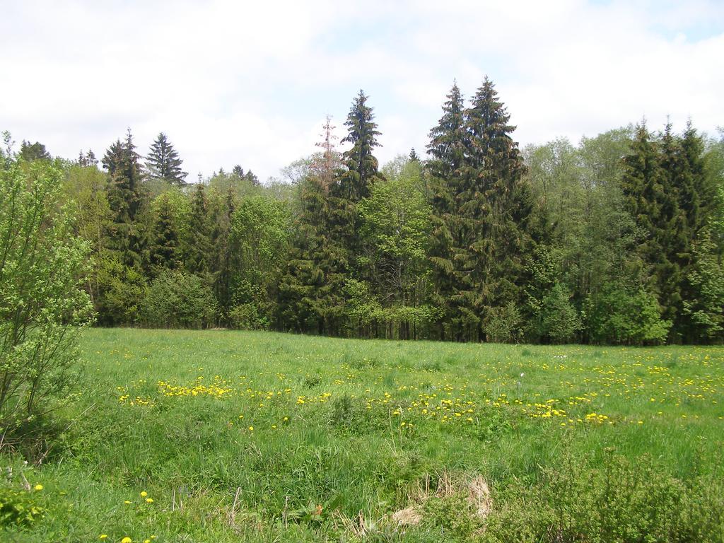 Chata Dvorečná Villa Loučovice Esterno foto