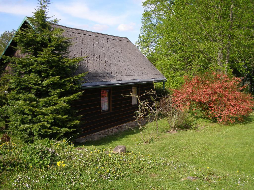 Chata Dvorečná Villa Loučovice Esterno foto