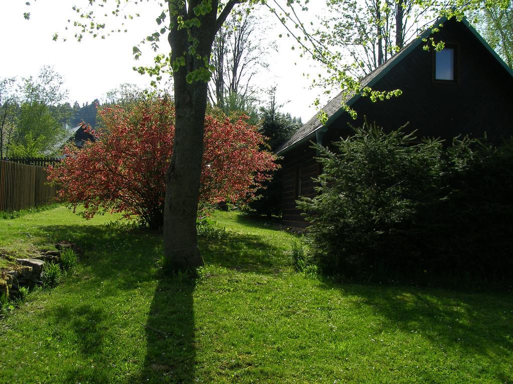 Chata Dvorečná Villa Loučovice Esterno foto