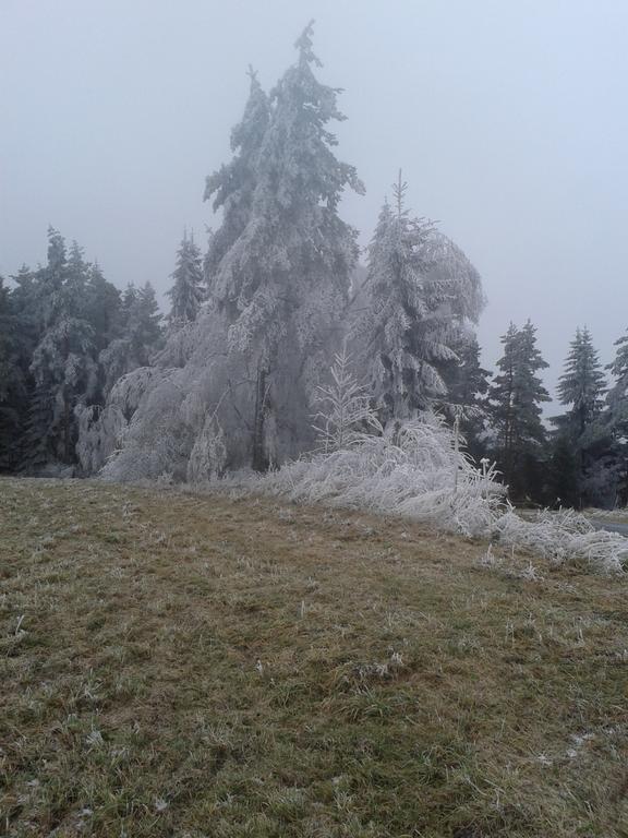 Chata Dvorečná Villa Loučovice Esterno foto