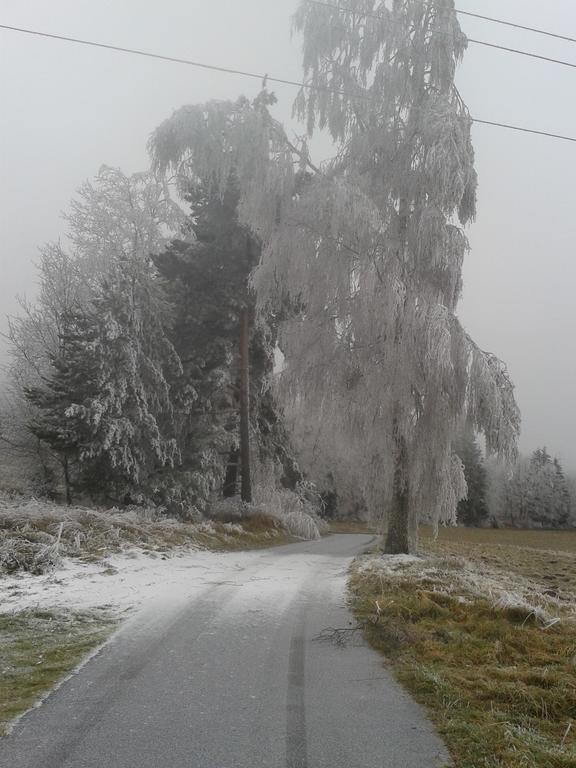 Chata Dvorečná Villa Loučovice Esterno foto