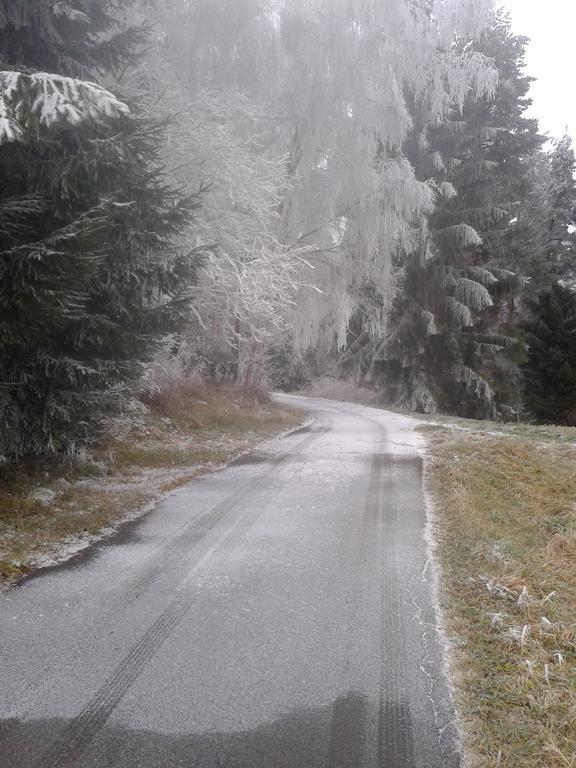 Chata Dvorečná Villa Loučovice Esterno foto