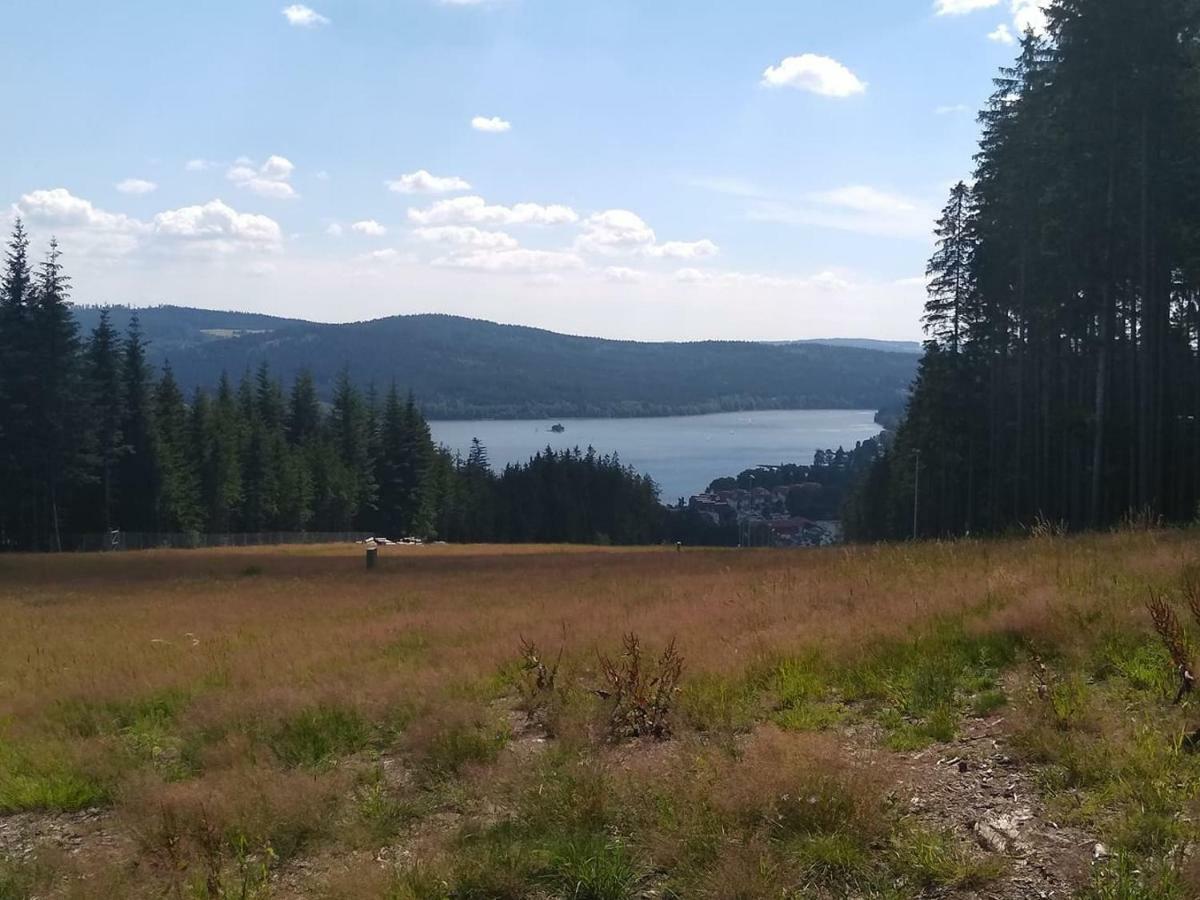 Chata Dvorečná Villa Loučovice Esterno foto